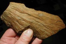 Sudbury shatter cone